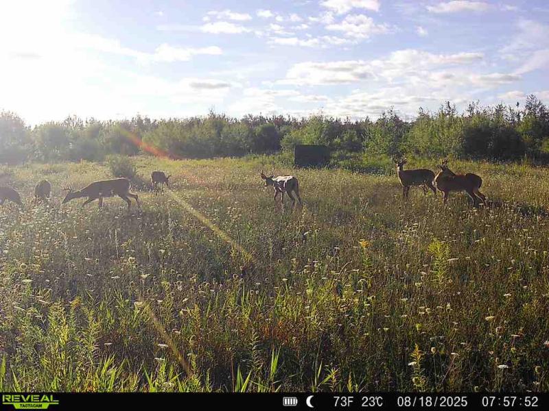 RentalsMLS Rental Main Image