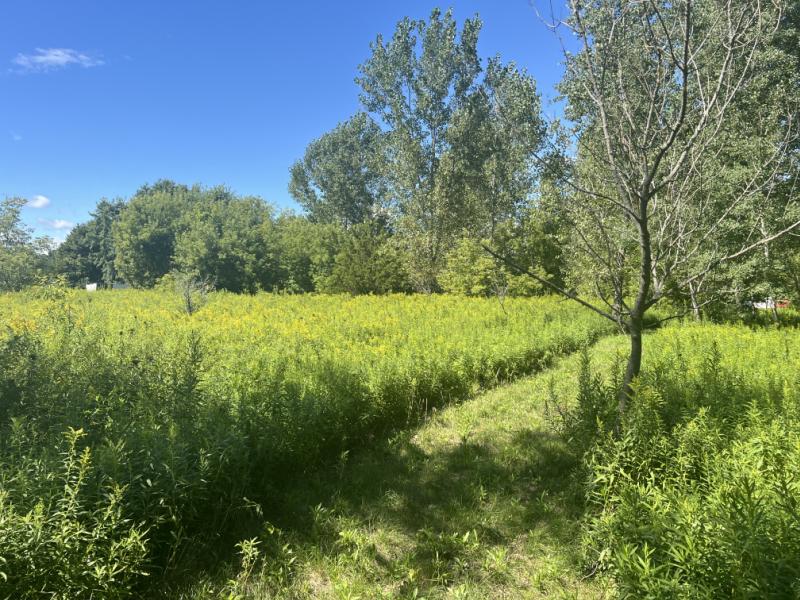 RentalsMLS Rental Additional Image