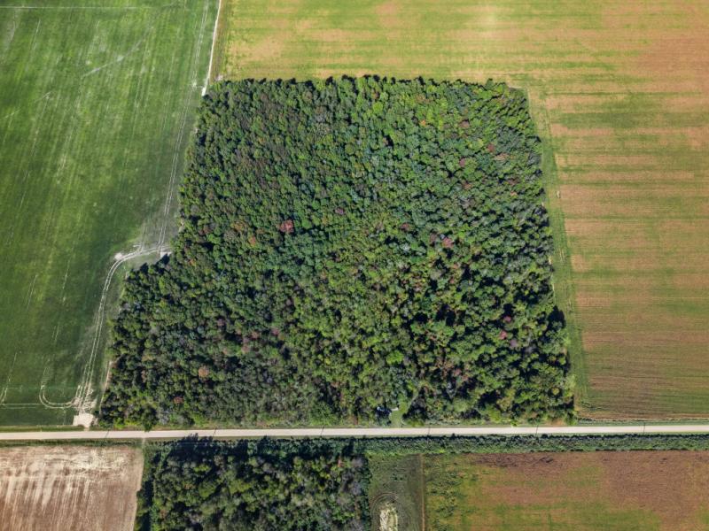 RentalsMLS Rental Main Image