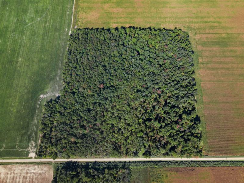 RentalsMLS Rental Additional Image