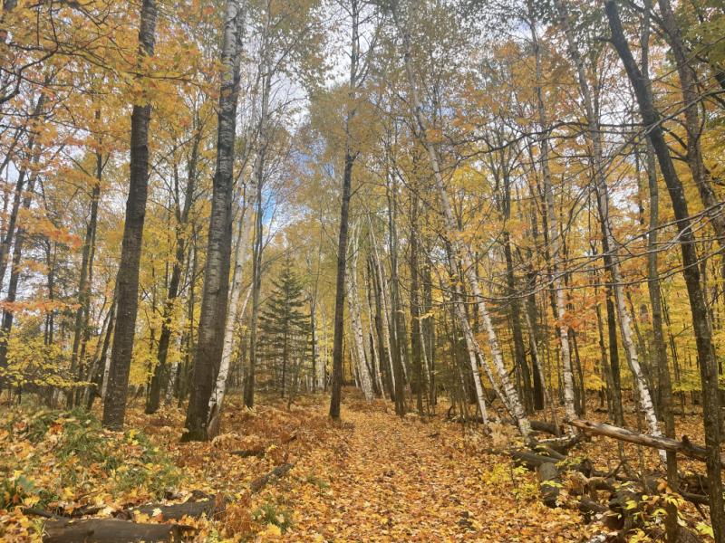 RentalsMLS Rental Main Image