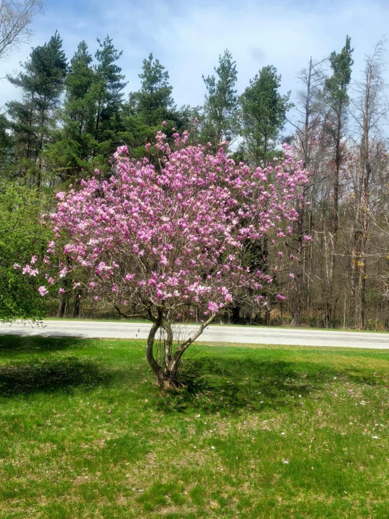 RentalsMLS Rental Additional Image