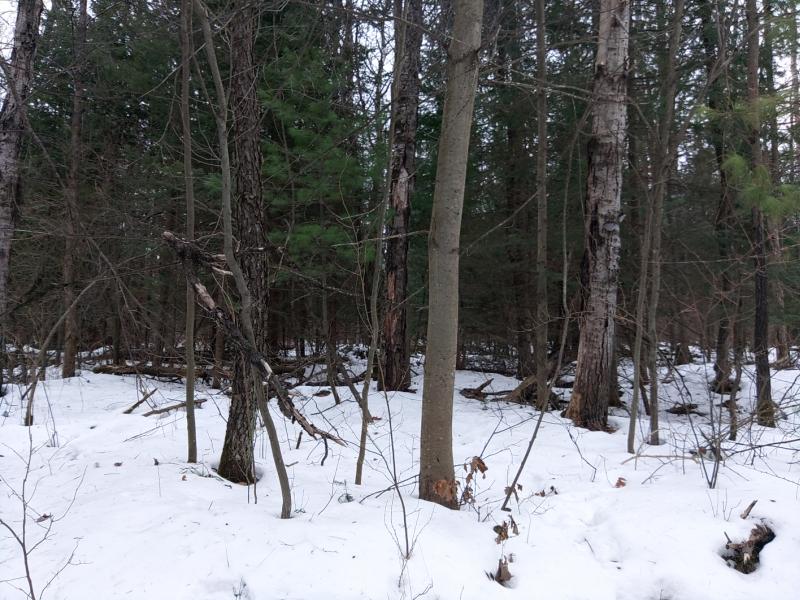 RentalsMLS Rental Main Image