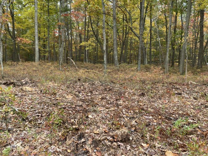 RentalsMLS Rental Main Image