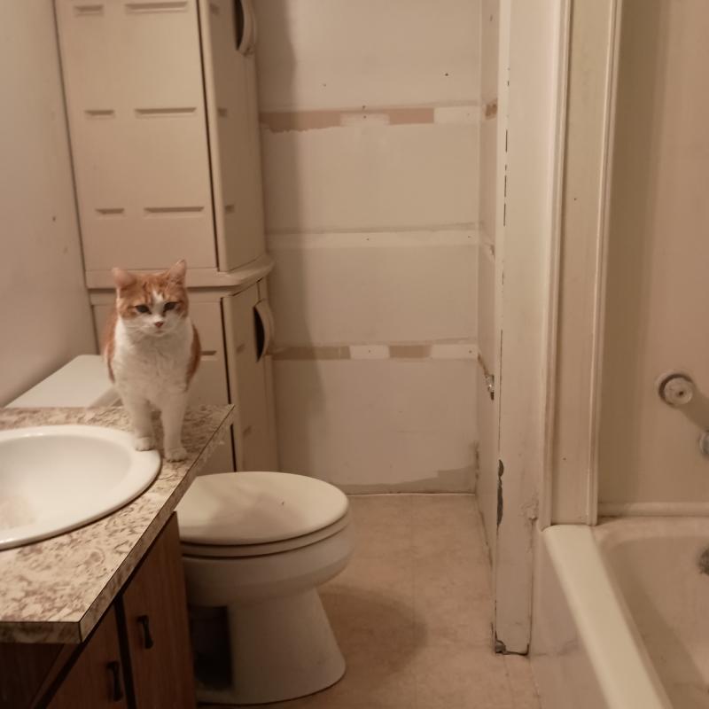 RentalsMLS Rental Additional Image