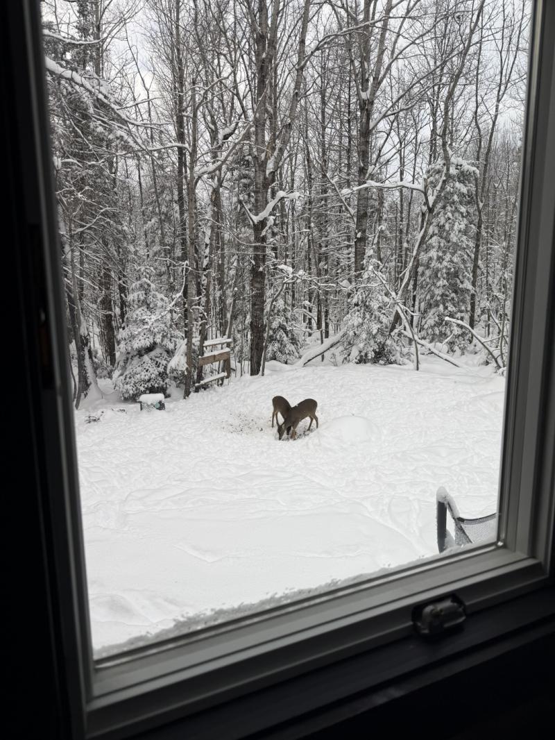 RentalsMLS Rental Additional Image