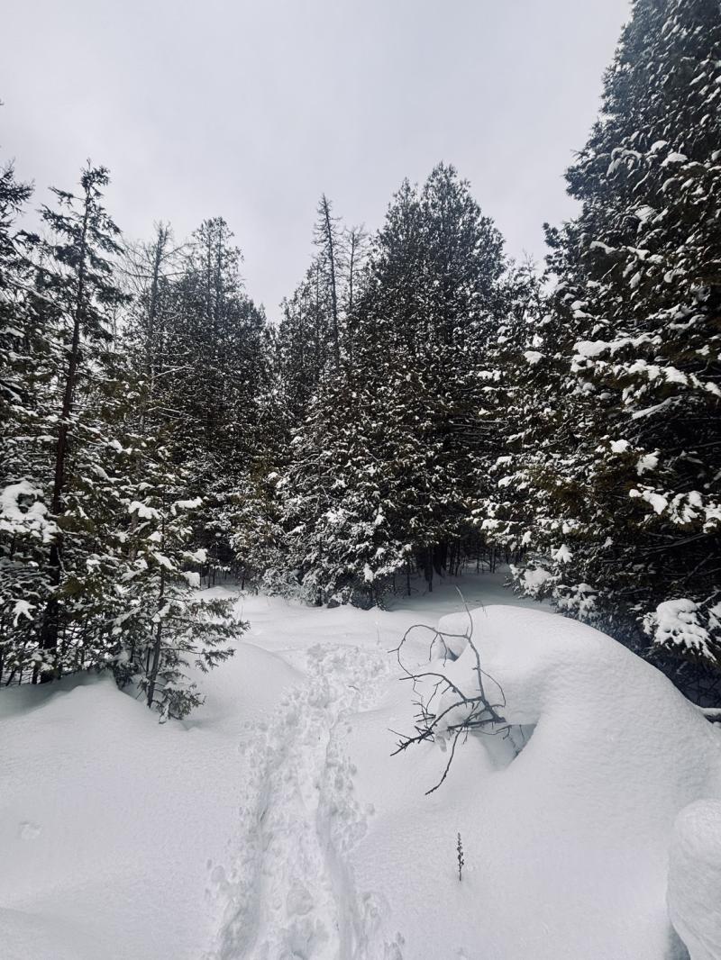 RentalsMLS Rental Main Image