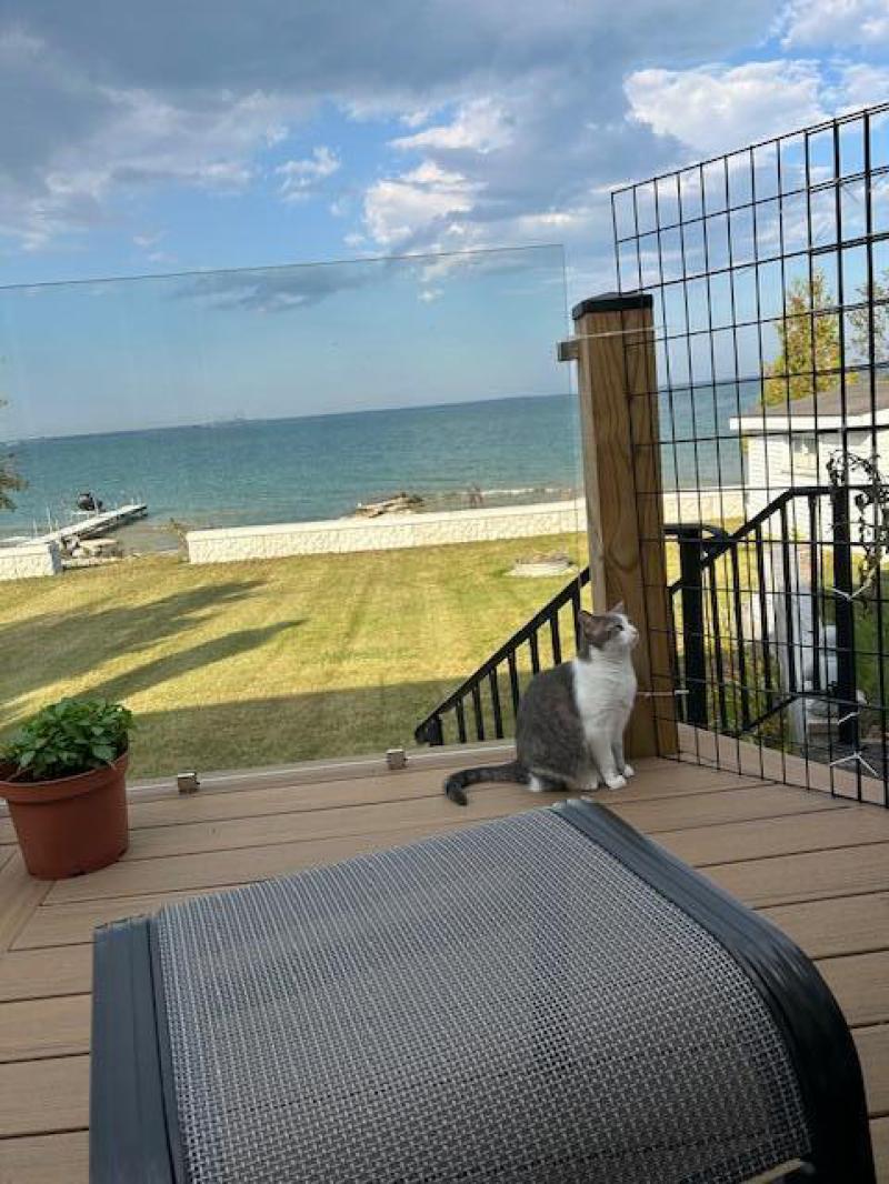 RentalsMLS Rental Additional Image