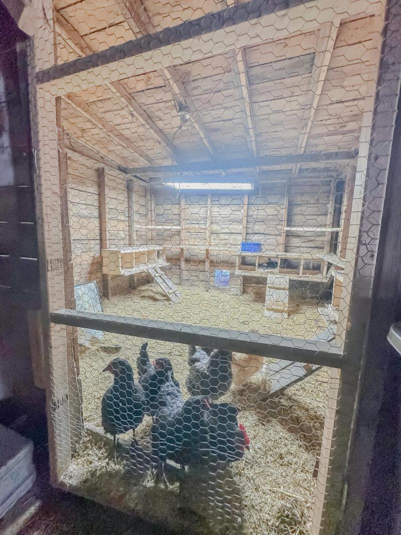 RentalsMLS Rental Additional Image