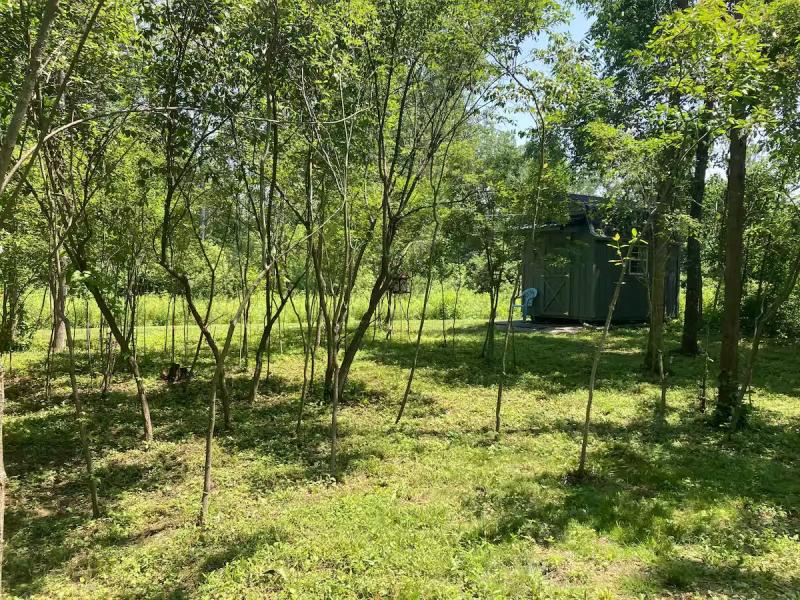 RentalsMLS Rental Additional Image