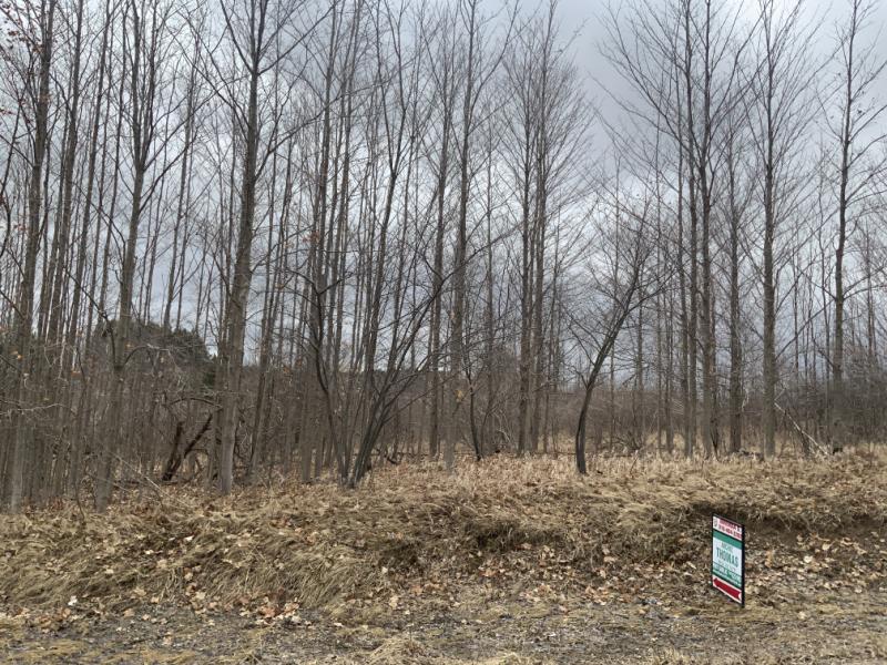 RentalsMLS Rental Main Image