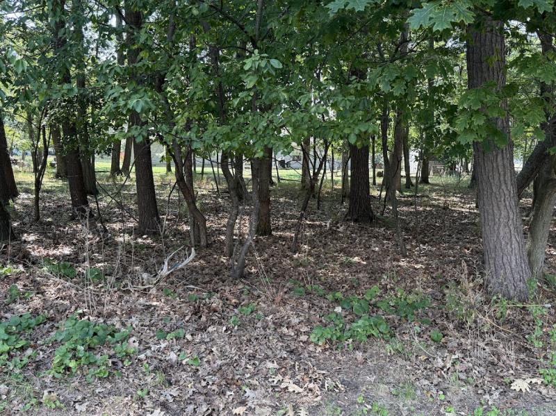 RentalsMLS Rental Main Image