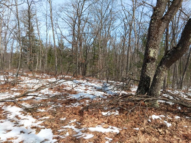 RentalsMLS Rental Main Image