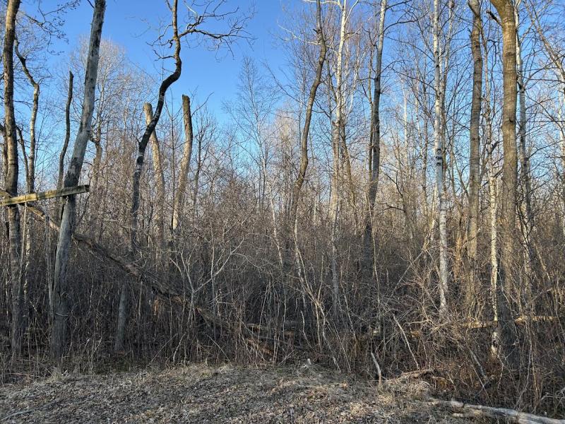 RentalsMLS Rental Main Image