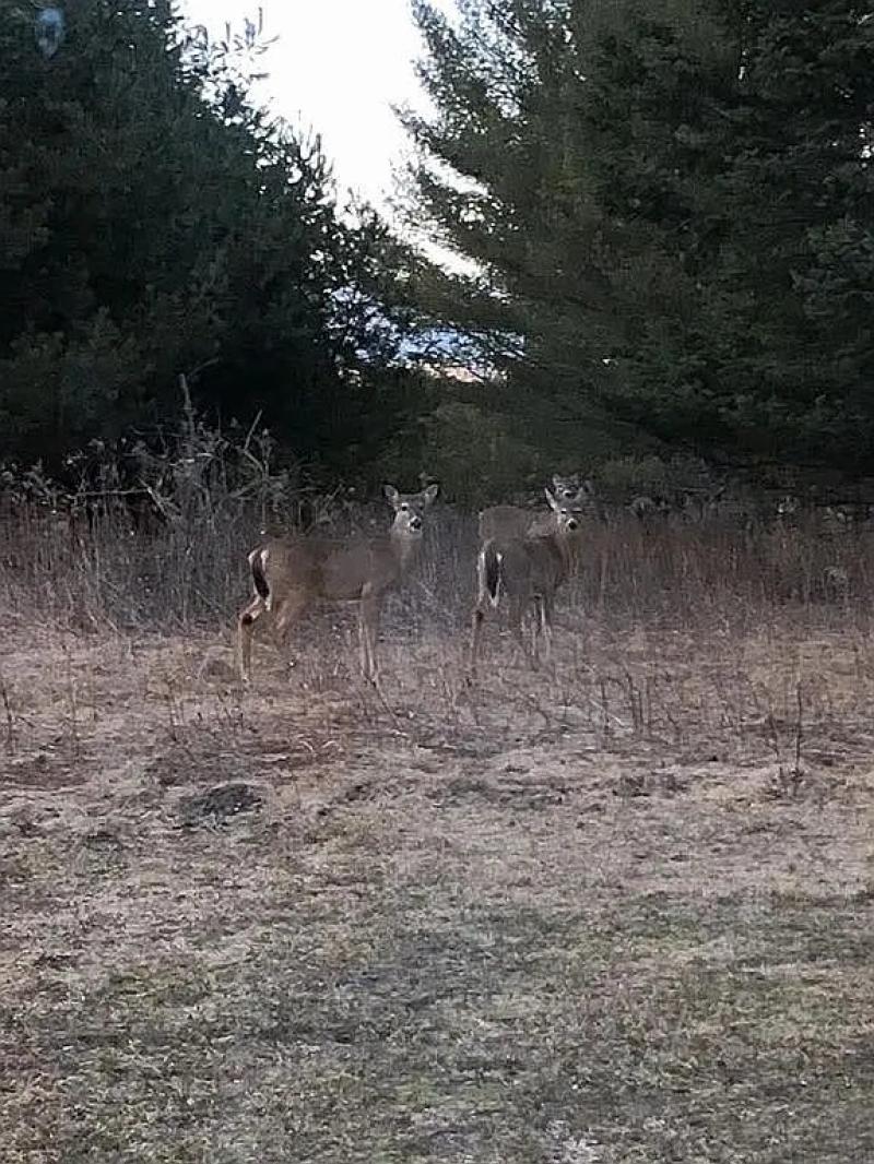 RentalsMLS Rental Additional Image