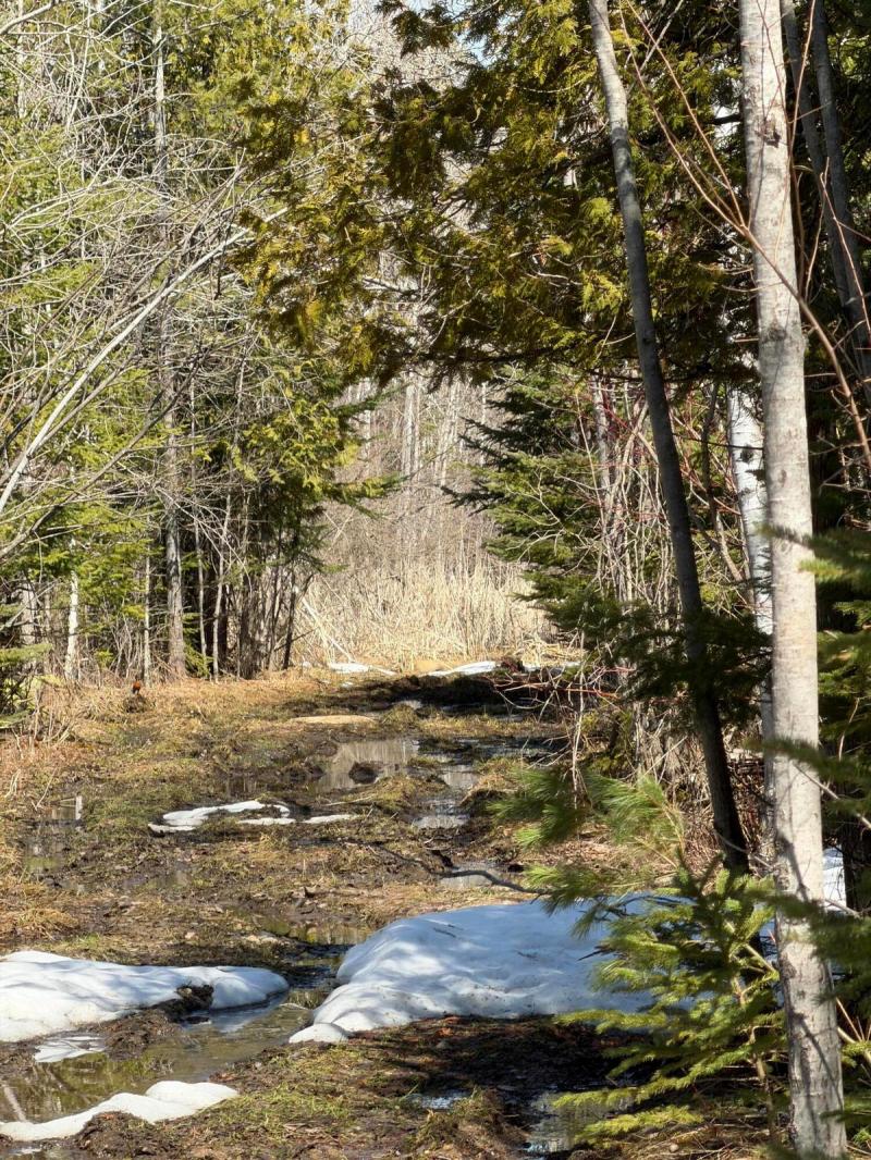 RentalsMLS Rental Main Image