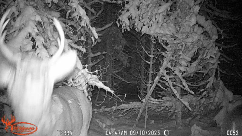 RentalsMLS Rental Additional Image