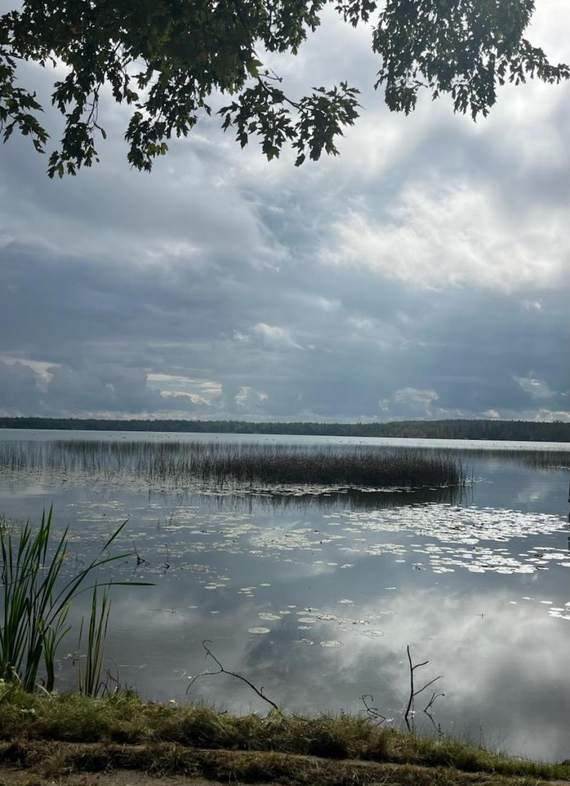 Rental 202320 Main Image