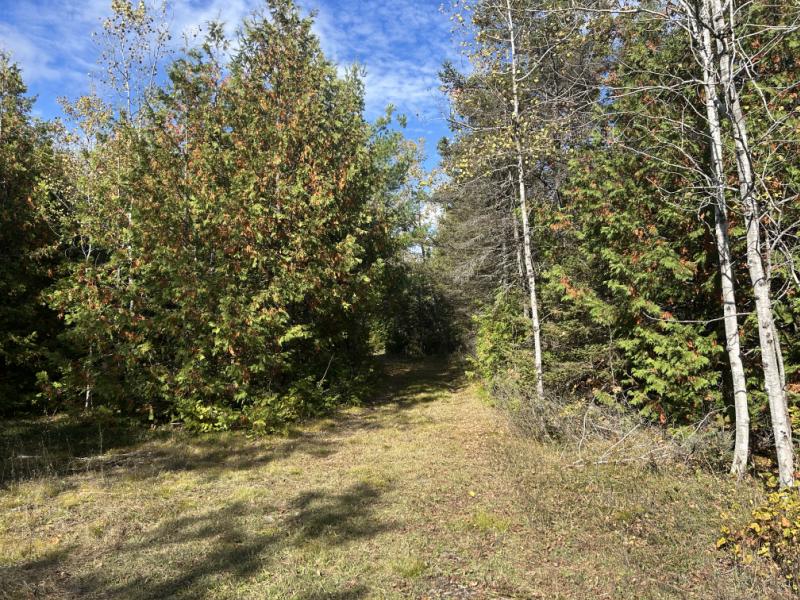 Rental 202393 Main Image