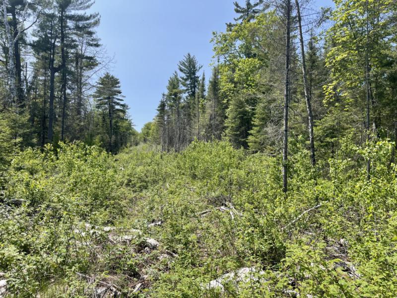 Rental 202698 Main Image