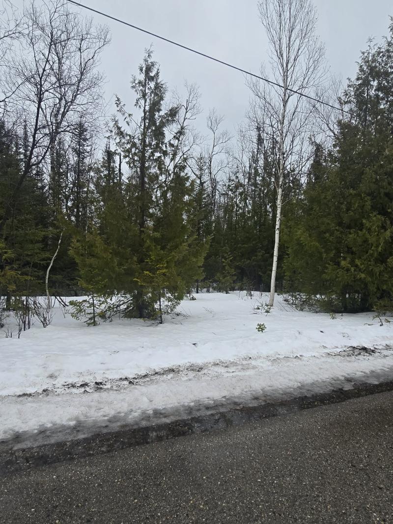 Rental 202832 Main Image