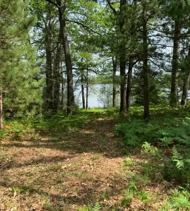 Rental 203237 Main Image