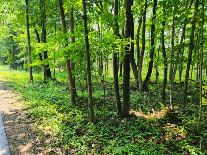 Rental 203277 Main Image