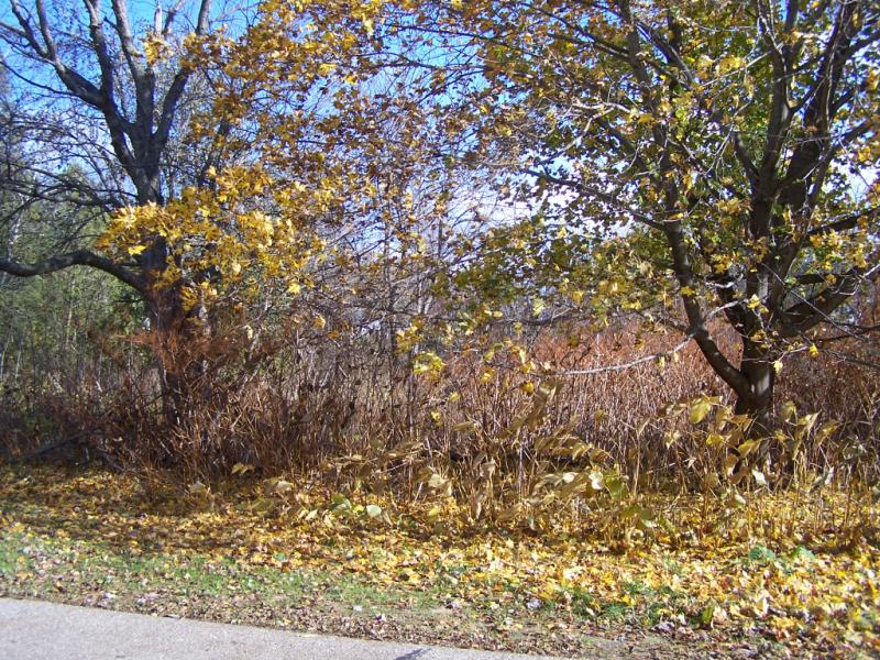 Rental 203341 Main Image