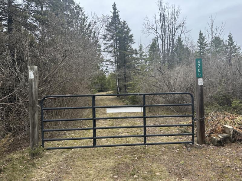 Rental 203371 Main Image