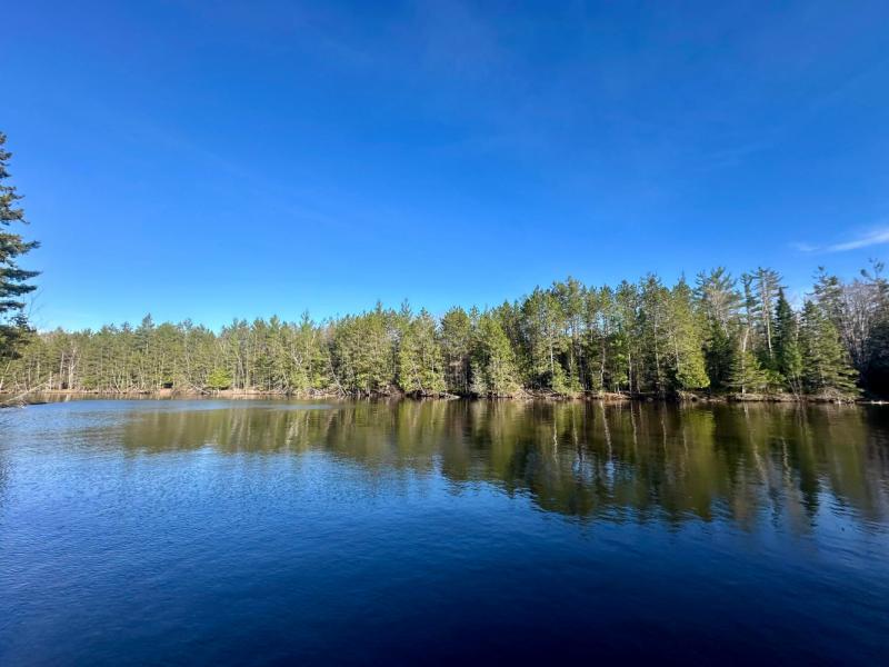 Rental 203385 Main Image