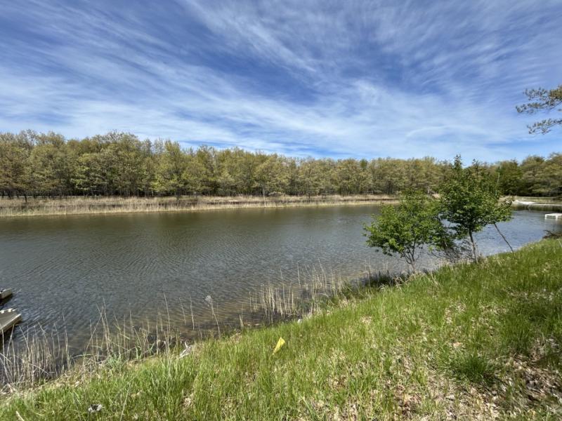 Rental 203676 Main Image