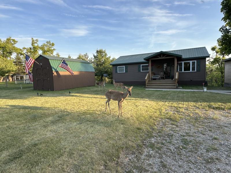 Rental 203856 Main Image