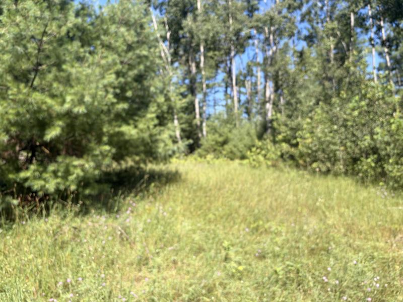Rental 204396 Main Image