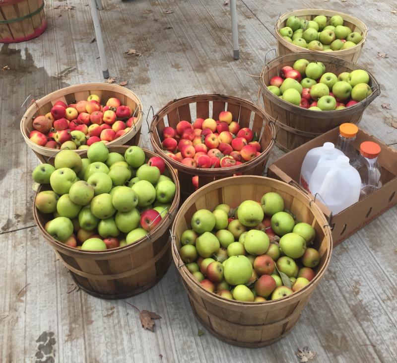 RentalsMLS Rental Additional Image