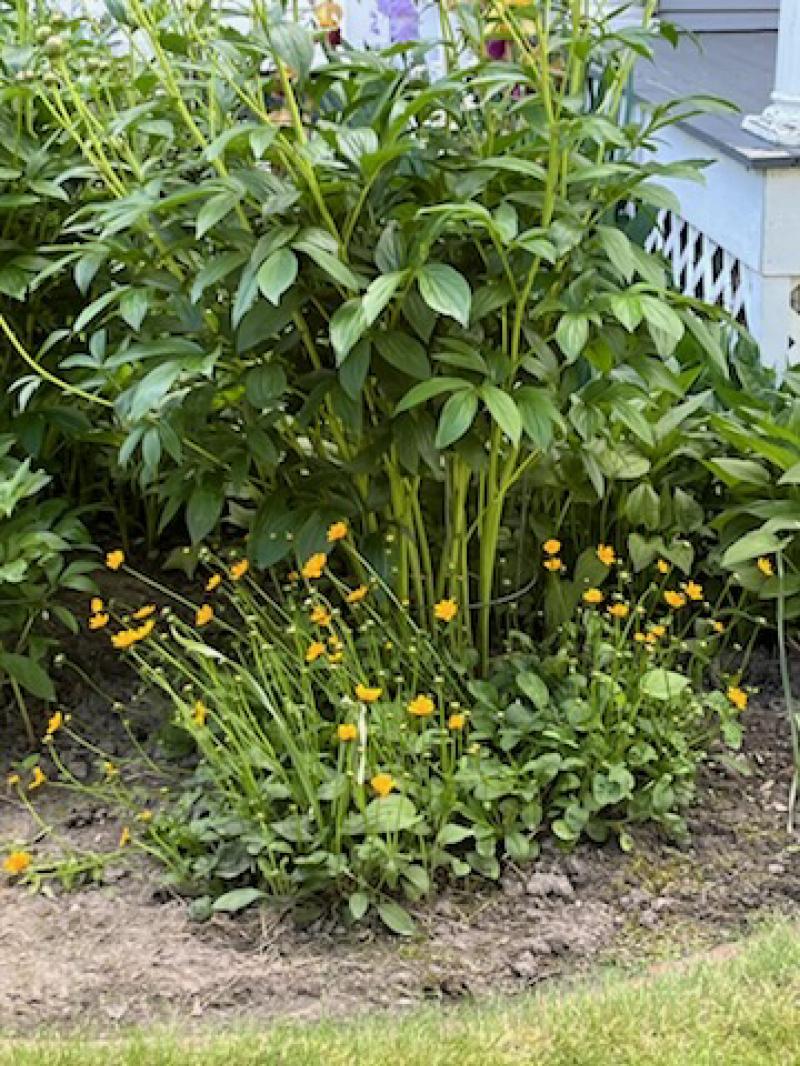 RentalsMLS Rental Additional Image