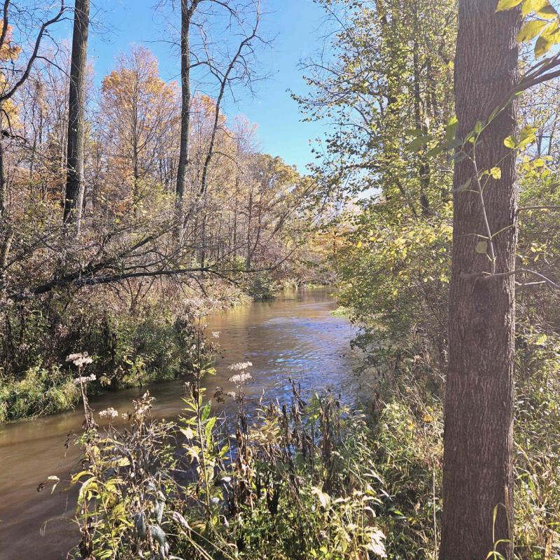 RentalsMLS Rental Main Image