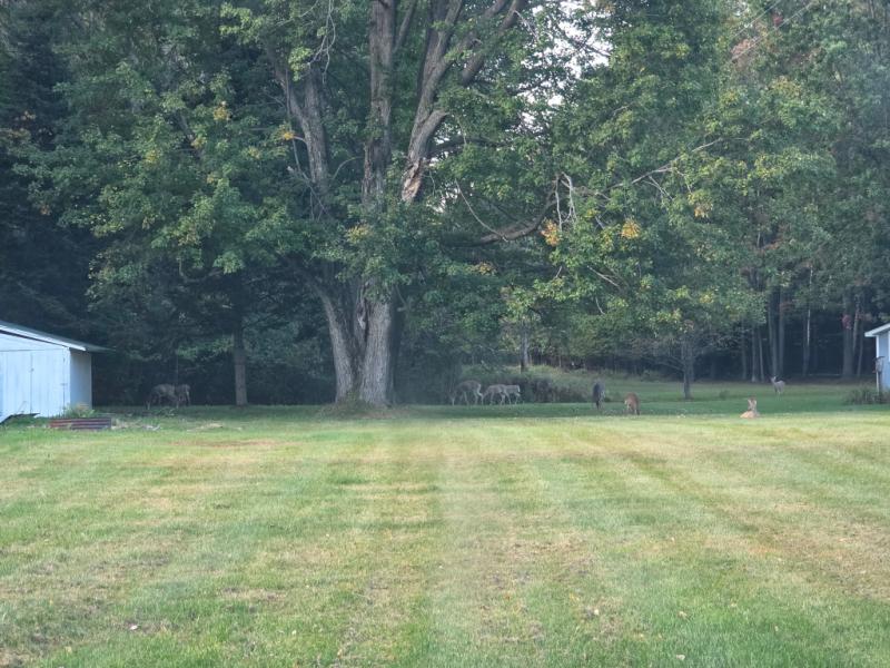 RentalsMLS Rental Additional Image