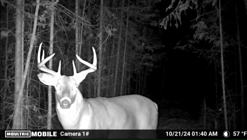 RentalsMLS Rental Additional Image