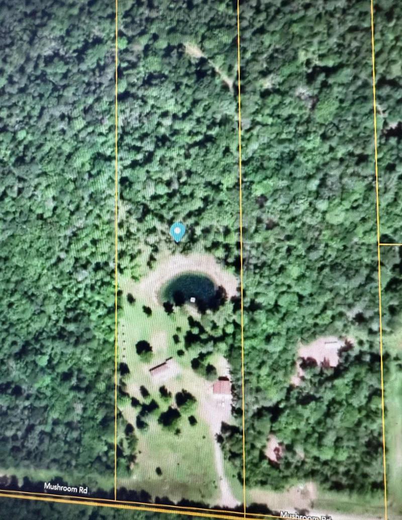 RentalsMLS Rental Additional Image