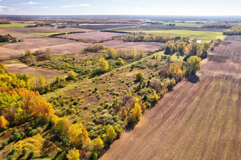 RentalsMLS Rental Main Image