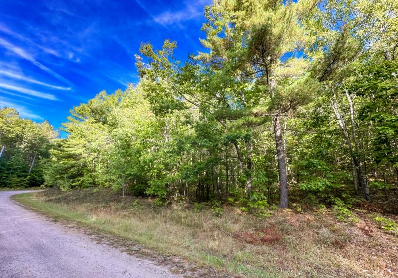 RentalsMLS Rental Main Image