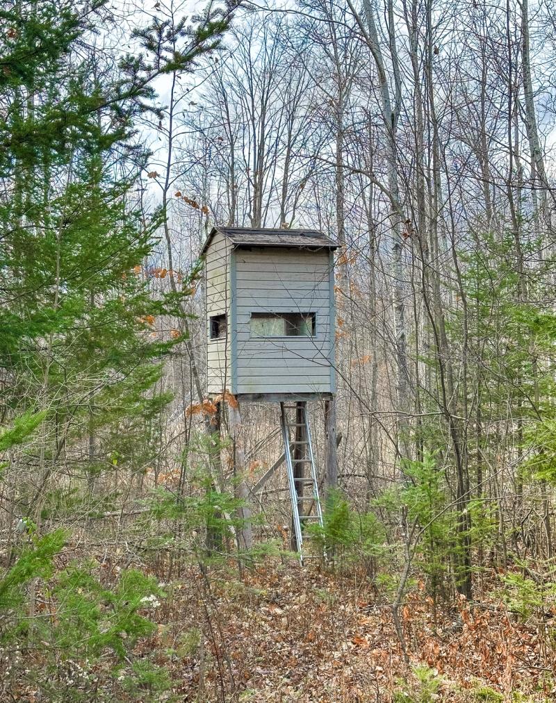 RentalsMLS Rental Additional Image