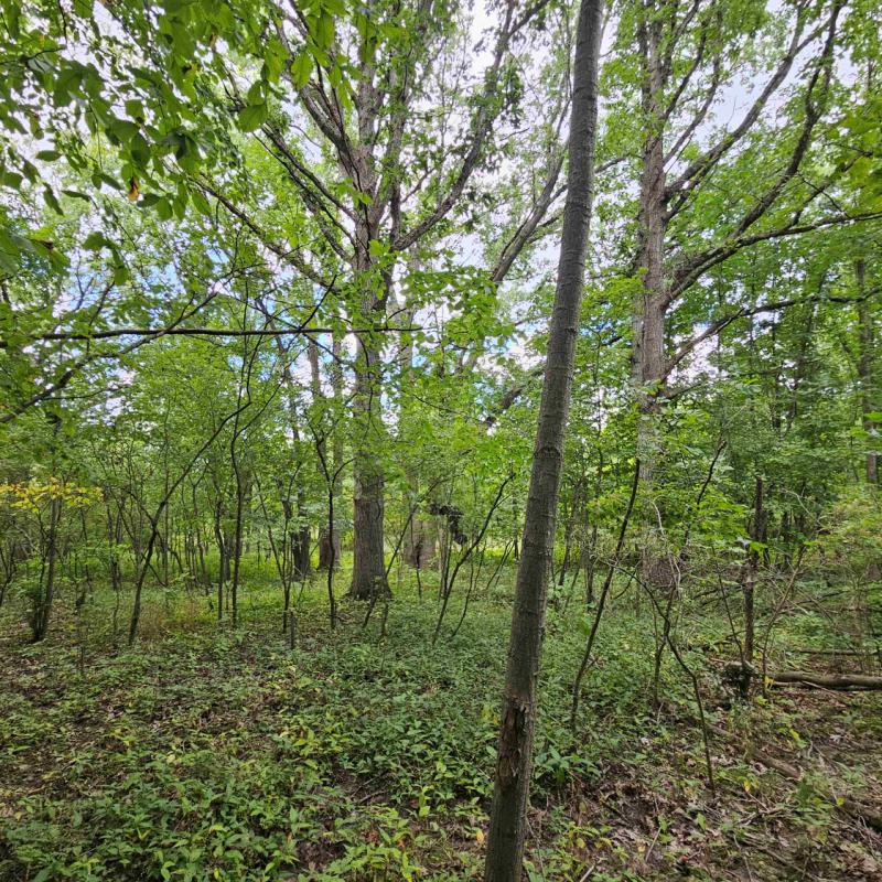 Rental 202050 Main Image