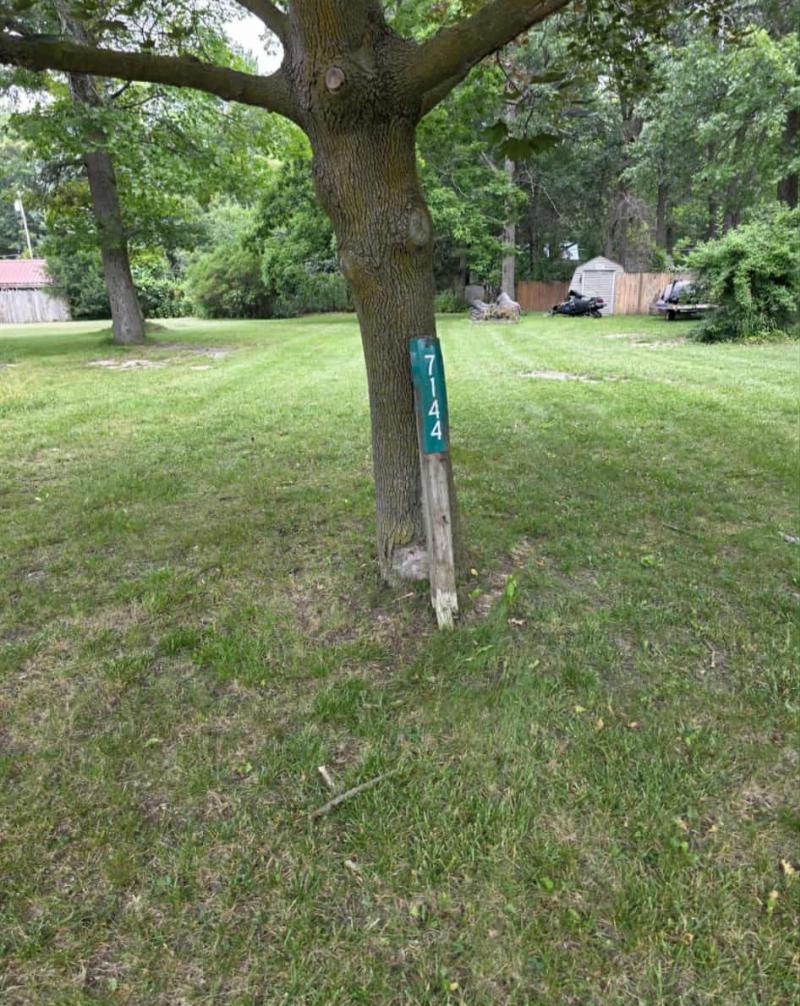 Rental 202056 Main Image