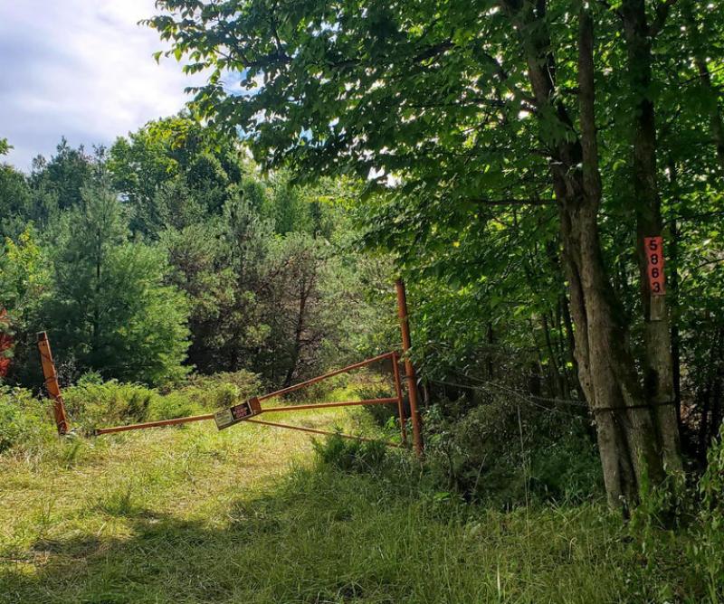 Rental 202057 Main Image