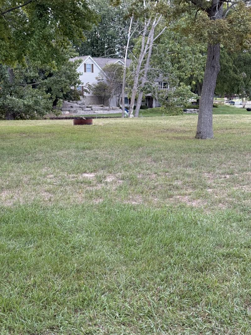 Rental 202080 Main Image