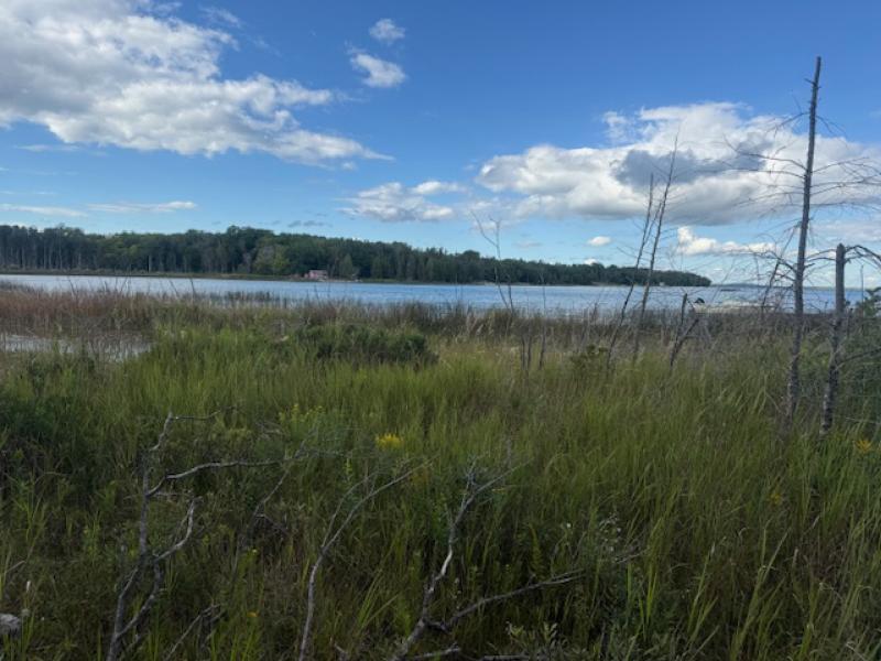 Rental 202501 Main Image