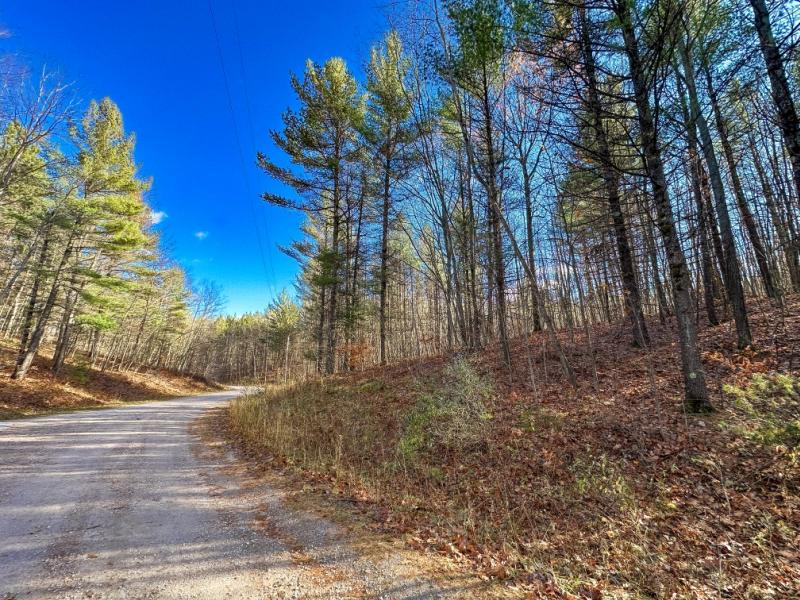 Rental 202624 Main Image