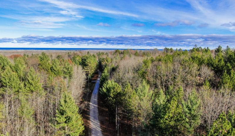 Rental 202626 Main Image