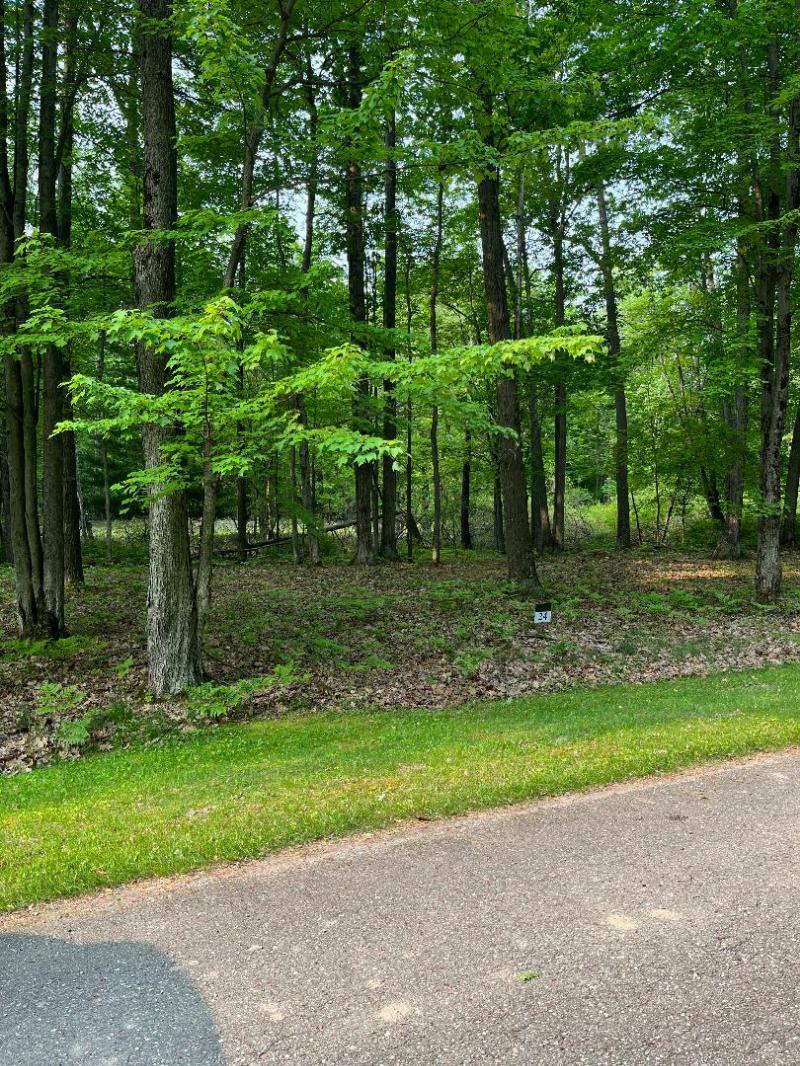 Rental 203474 Main Image